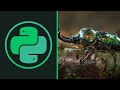 NEVER USE SLASHES | Python