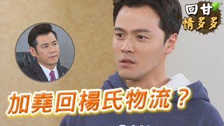 《回甘情多多》EP137 加堯回楊氏物流?