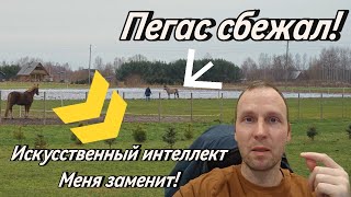 # ✅✅ Это революция в сфере блорства!  Всё я ухожу на пенсию!  #лошади #vlog 🍒