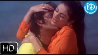 Om Namami Andamma Song - Aavida Maa Aavide Movie |  Nagarjuna | Tabu | Heera Raagopal