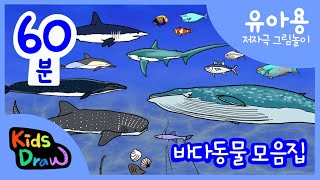 그림으로 배우는 영어단어 | 바다동물모음 | 1시간 저자극영상 | 고래 상어 심해동물 해수어 | 키즈드로우