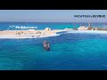 educational dolphin show at mediterraneo marine park in malta