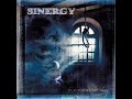 sinergy spit on your grave