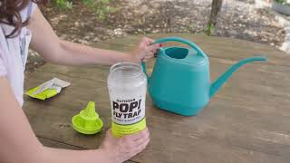 POP! Fly Trap How To Assemble