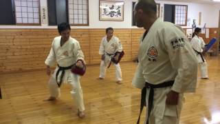 Renshinkan Kumite technique