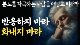 노년이 되면 무조건 줄이고 살아야 하는 1가지 | 나이 들어 본인도 모르게 하는 추한 행동|오늘 화를 몇번 냈나요?|노후조언|명언|세네카 철학|삶의 지혜|관계|오디오북