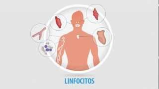 Cómo fortalecer el sistema inmunológico