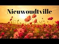 Discover The Hidden Beauty Of Nieuwoudtville's 2023 Flower Season