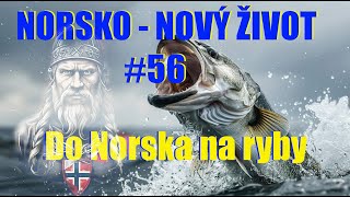 N.N.Ž.  díl 56. KAM DO NORSKA NA RYBY. Tip na úžasnou dovolenou s česky mluvícím správcem!!!