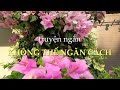 Không thể ngăn cách | Truyện ngắn Sáng tác