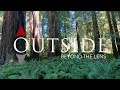 California North Coast Redwoods - Outside Beyond The Lens