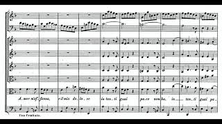 Pena Tiranna (Amadigi di Gaula - G.F. Händel) Score Animation