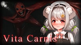 Reacting to Vita Carnis | An Analog Horror