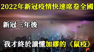 2022年的春天，新一輪新冠疫情又快速席卷了全國各地 ，新冠三年後我才終於讀懂了加繆的《鼠疫》【悅讀尚品】