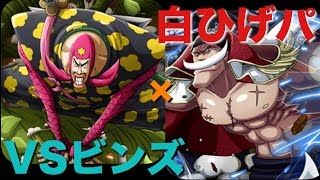 《トレクル》コロシアム！VSビンズ！白ひげパ攻略！ ※要概要欄