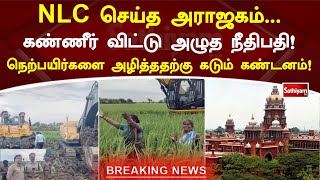 NLC செய்த அராஜகம்... கண்ணீர் விட்டு அழுத நீதிபதி! நெற்பயிர்களை அழித்ததற்கு கடும் கண்டனம்!