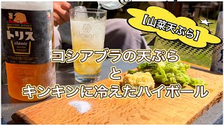 【キャンプ飯】山菜天ぷら（コシアブラ）とキンキンに冷えたハイボール