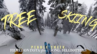 Tree Skiing | PEBBLE CREEK