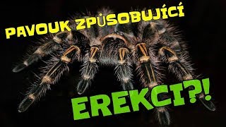 10 Úžasných zvířecích faktů #4