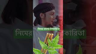 নিমের ডাল দিয়ে দাঁত মাজেন। #আবু_ত্বহা_মুহাম্মদ_আদনান #abu_taha_muhammad_adnan