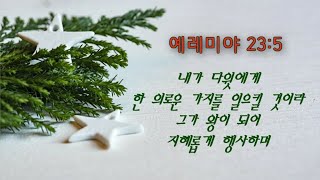 [성탄특집] 성경말씀 암송[9] Jeremiah 예레미야 23:5 | 다윗에게 한 의로운 가지를 일으킬 것이라 그가 왕이 되어 지혜롭게 행사하며 | 킹제임스 KJV