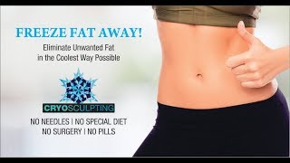 What Is Fat Freezing Technology (Cryolipolysis/Cryosculpting)? - Clinic Dermatech