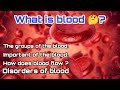 What is blood 🩸? the complete Composition of the blood. #bloodgroup #blood