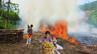 Single mother burns leaves to start plans for new home: Harvesting lychees to sell