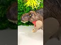 cursed indominus rex dinosaurs dinosaurtoys