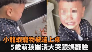 小龍蝦寵物被端上桌！5歲萌孩大哭跟媽翻臉　母親無奈：他吃挺多的－民視新聞