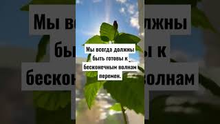 Потеря равновесия - равновесие жизни #shorts #мысли #цитаты #поисксебя #истина #жизнь  #аффирмации