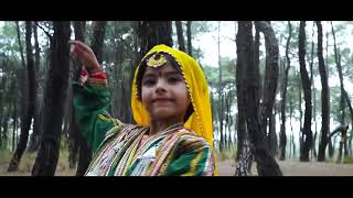 Nikki jini gujri status video