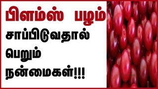 Plum Fruit in Tamil | பிளம்ஸ் பழம் சாப்பிடுவதால் பெறும் நன்மைகள்!!!