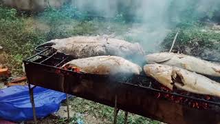 bakar ikan.. ikannya lumayan Gede || ikannya bukan hasil mancing ya