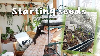 STARTING GARDEN SEEDS! | garden vlogs