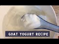 How To Make Yogurt At Home- Making Lots of Goat Yogurt With & Without a Yogurt Maker- Using Blankets