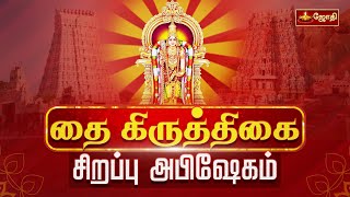 Thai Krithigai 2025 | தை கிருத்திகை 2025 | சிறப்பு அபிஷேகம் | Murugan Abishegam | Jothitv