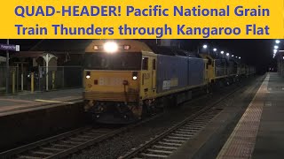 PN Quad Header on Deniliquin Grain Train - 24th July 2024