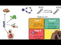 Ácidos nucleicos adn y arn