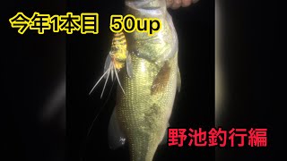 【山形野池】今年1本目50up、気温上昇、日中釣行。 山形バス釣り