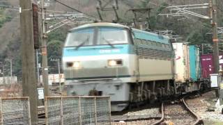 JR貨物 セノハチを下る コンテナ列車