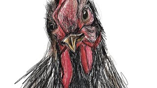 Chicken 🐓.  Procreate 10min scribble sketch.