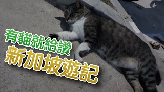 【遊記】新加坡－小阿拉伯／索美塞／星耀樟宜／白沙公園／駁船碼頭／讚美廣場／花穹／雲霧林／金沙酒店／小印度／PS.Cafe／中峇魯／萊佛士