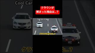 このクラウンが捕まった理由は...⁉️ #shorts #パトカー #警察