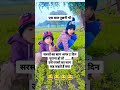 बताओ😂😂😂 funny cute jokes shorts funnyshorts comedyshorts shortsfeed cutecomedy comedy