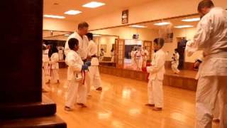 Karate Instruction