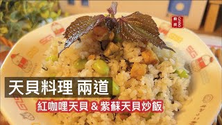 全素vegan｜紅咖哩天貝/紫蘇天貝炒飯！初登場 Tempeh Red curry/ Tempeh fried rice.