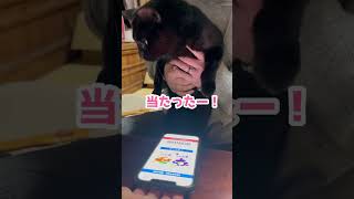 これが本当の「天からのさずかりもの」