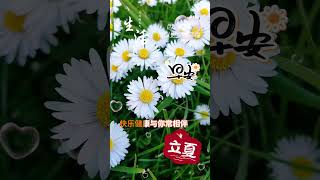 早安，立夏快乐 | 今天立夏， 2024年5月6日星期一，早安快乐! #早安 #星期一 #祝福 #shortvideo #情感 #早上好 #早安正能量 @leleenjoying