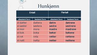 Substantiv uregelrett bøying, norwegian basic learner